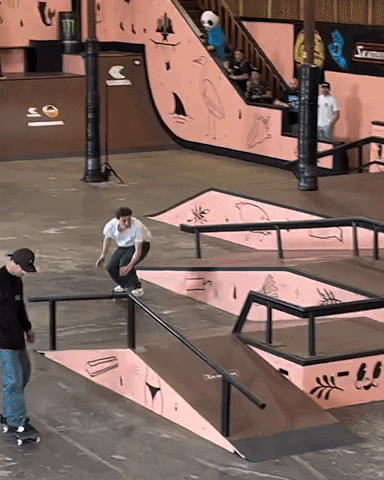 Mike V Skateboard Party - Free Skate [#3] Pista Downtown Plaza